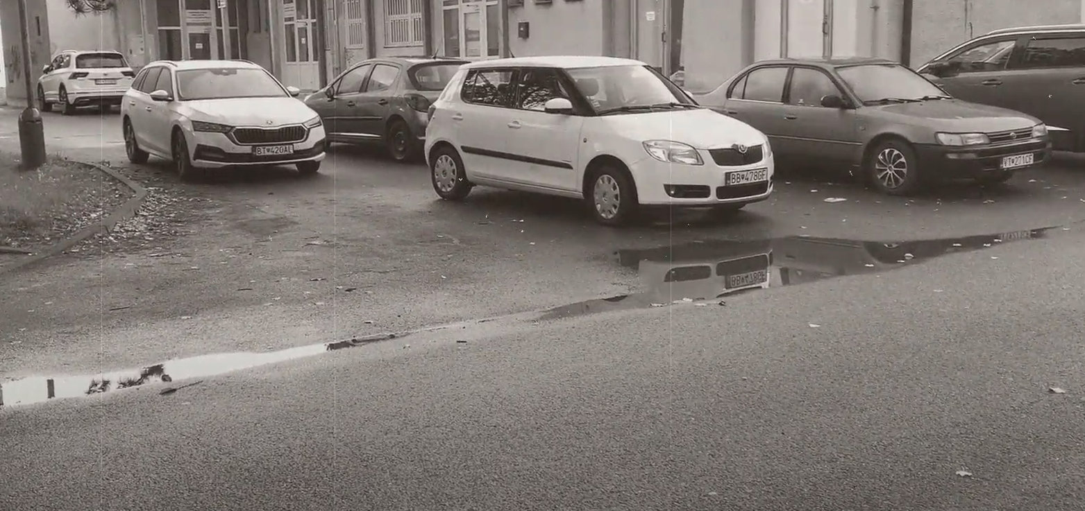 Video – Adam Bruno Rafaj